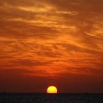 Angela Sanders Profile Picture