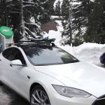 Aaron Wheeler Profile Picture