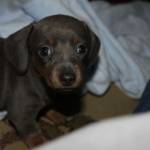 Stan Standridge Profile Picture