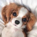 Jody Hunton Profile Picture