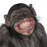 Kathleen Mitchell Profile Picture