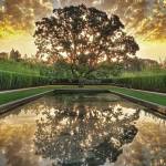 Jodinka Profile Picture