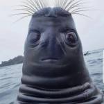 CharonGilliard Profile Picture