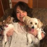 Phyllis Pelletier Profile Picture