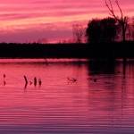 C Hall Profile Picture