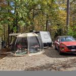 Charlie and Kelly Fairhurst Profile Picture