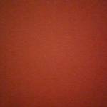lora ruby Profile Picture