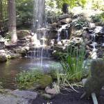 LisaFulks Profile Picture