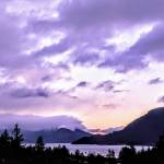 Zenia Z Profile Picture