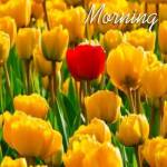 Thomas Mark Profile Picture