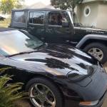 Maury Hayes Profile Picture