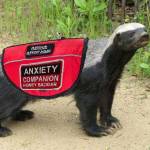 Theresa Green Profile Picture