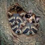 arnoldduke Profile Picture