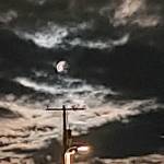 Lapaloozie Profile Picture