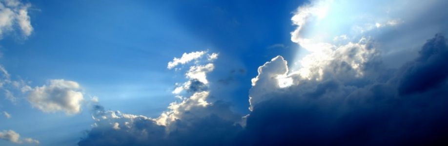 James Brown Cover Image