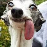 Ken Black Profile Picture