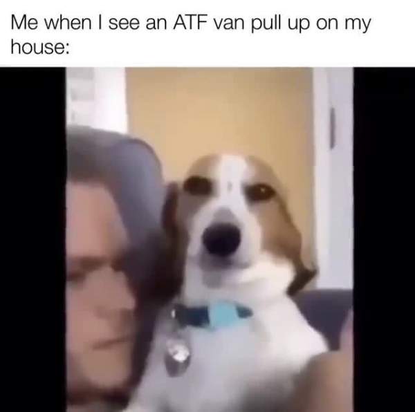 Me when I see an ATF van pull up on my house: - iFunny :)