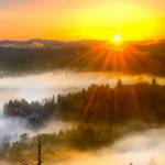 adlucem17 Profile Picture