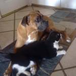 Julie Enyart Profile Picture