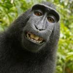 Scott Galliway Profile Picture