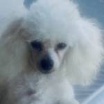 Mary Jane McKinney Profile Picture