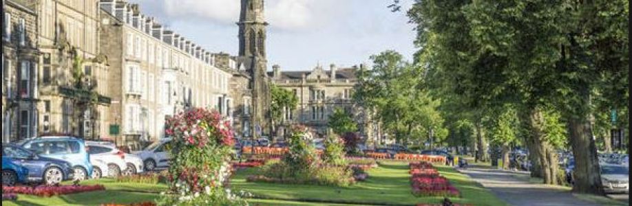 Apostolic Life Ministries Cover Image