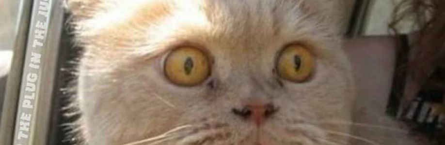 GEORGE BAILEY Cover Image