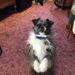 Teresa Valley Profile Picture