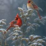 CynthiaSilva Profile Picture