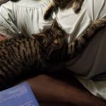 Songbirdcindy Profile Picture