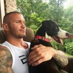 Randy Orton Profile Picture