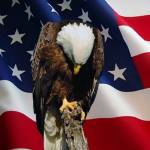 Joyce Bachilla Profile Picture