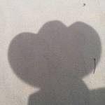 Donald Underwood Profile Picture