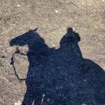 Esther Dagley Profile Picture