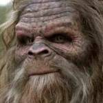 Shawn Rogers Profile Picture