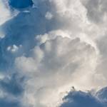 Avalanche08 Profile Picture