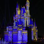 Steve Willim Profile Picture