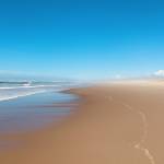 Alexander Neuman Profile Picture