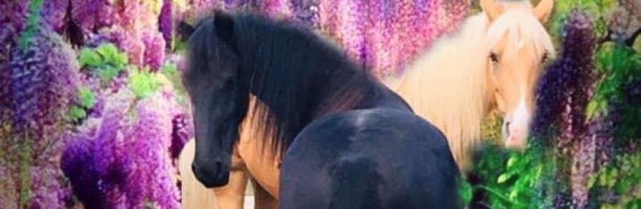 Terry Lynn Crane-Crabtree Cover Image