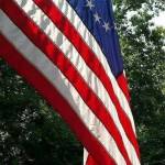 Robear R Profile Picture