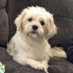 Kimberly Kimble Profile Picture