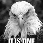 Marine Infantry Profile Picture