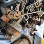 DavidDunn Profile Picture