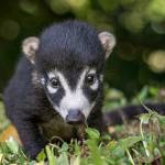 Denise Bressler Profile Picture