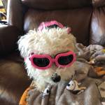 Kathlyn Lindeboom Profile Picture