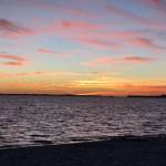 Jennifer Magana Profile Picture