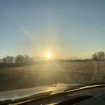 Jen Teriipaia Profile Picture