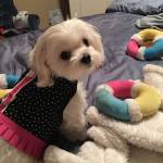 Mona Meador Profile Picture