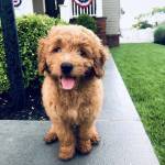 Mary Gerhart Profile Picture