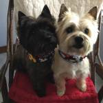 MJ Bressler Profile Picture